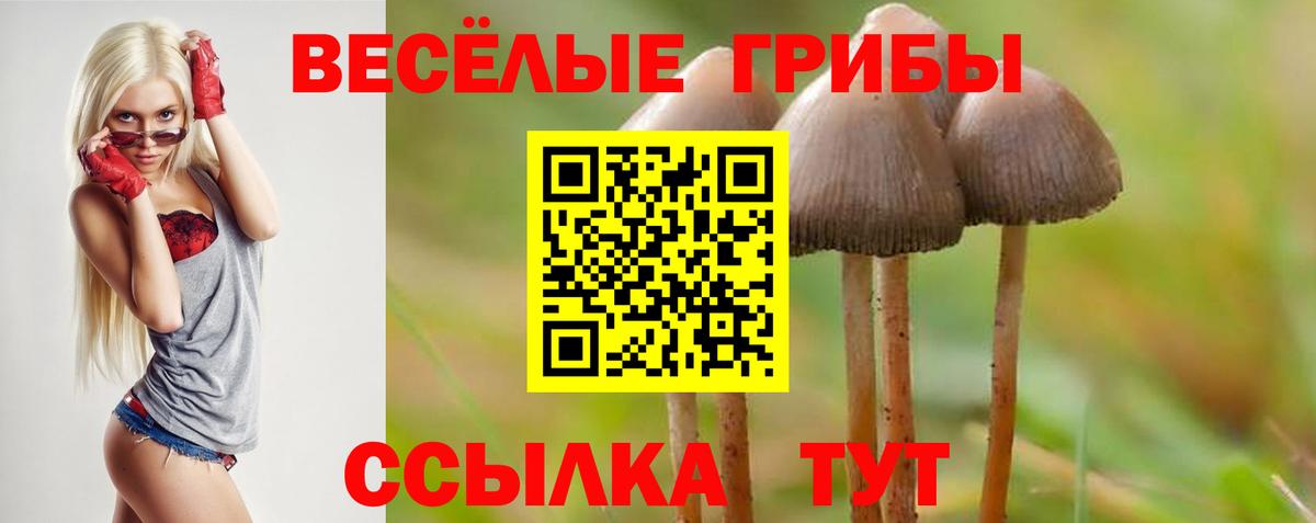 Североуральск  Галлюциногенные грибы GOLDEN TEACHER  где купить наркоту  Вход с VPN 